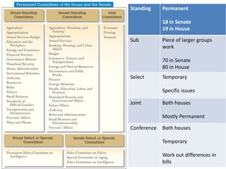 The Committee System