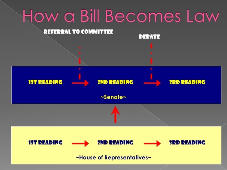 Diagram How A Bill Becomes A Law In The Philippines 