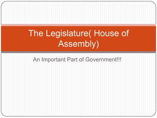 An Important Part of Government!!! The Legislature( House of Assembly) 