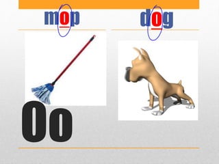 Oo
mop dog
 
