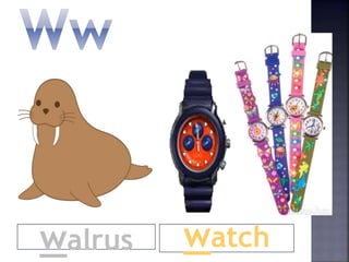watchwalrus
 