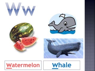 watermelon whale
 