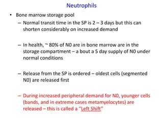 Neutrophils
• Bone marrow storage pool
   – Normal transit time in the SP is 2 – 3 days but this can
     shorten considerably on increased demand

   – In health, ~ 80% of N0 are in bone marrow are in the
     storage compartment – a bout a 5 day supply of N0 under
     normal conditions

   – Release from the SP is ordered – oldest cells (segmented
     N0) are released first

   – During increased peripheral demand for N0, younger cells
     (bands, and in extreme cases metamyelocytes) are
     released – this is called a “Left Shift”
 