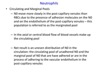 Neutrophils
• Circulating and Marginal Pools
   – N0 move more slowly in the post-capillary venules than
      RBCs due to the presence of adhesion molecules on the N0
      and on the endothelium of the post-capillary venules – this
      population is referred to as the marginated pool

   – In the axial or central blood flow of blood vessels make up
     the circulating pool

   – Net result is an uneven distribution of N0 in the
     circulation: the circulating pool of unadhered N0 and the
     marginal pool of N0 that are have adhered or are in the
     process of adhering to the vascular endothelium in the
     post-capillary venules
 