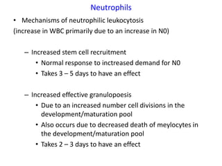 Neutrophils
• Mechanisms of neutrophilic leukocytosis
(increase in WBC primarily due to an increase in N0)

   – Increased stem cell recruitment
       • Normal response to inctreased demand for N0
       • Takes 3 – 5 days to have an effect

   – Increased effective granulopoesis
       • Due to an increased number cell divisions in the
         development/maturation pool
       • Also occurs due to decreased death of meylocytes in
         the development/maturation pool
       • Takes 2 – 3 days to have an effect
 