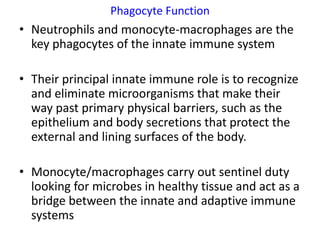 Phagocyte Function
• Neutrophils and monocyte-macrophages are the
  key phagocytes of the innate immune system

• Their principal innate immune role is to recognize
  and eliminate microorganisms that make their
  way past primary physical barriers, such as the
  epithelium and body secretions that protect the
  external and lining surfaces of the body.

• Monocyte/macrophages carry out sentinel duty
  looking for microbes in healthy tissue and act as a
  bridge between the innate and adaptive immune
  systems
 