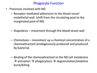 Phagocyte Function
• Processes involved with N0:
   – Receptor-mediated adherence to the blood vessel
     endothelial wall (shift from the circulating pool to the
     marginated pool of N0)

   – Diapedesis – movement through the blood vessel wall

   – Chemotaxis – movement up a chemical concentration of a
     chemoattractant (endogenously produced and produced
     by bacteria)

   – Binding of the chemoattractant to the N0 cell membrane
      activation  phagocytosis  degranulation/oxidative
     burst/killing
 
