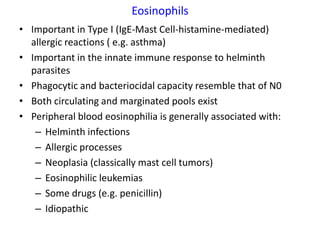 Eosinophils
• Important in Type I (IgE-Mast Cell-histamine-mediated)
  allergic reactions ( e.g. asthma)
• Important in the innate immune response to helminth
  parasites
• Phagocytic and bacteriocidal capacity resemble that of N0
• Both circulating and marginated pools exist
• Peripheral blood eosinophilia is generally associated with:
   – Helminth infections
   – Allergic processes
   – Neoplasia (classically mast cell tumors)
   – Eosinophilic leukemias
   – Some drugs (e.g. penicillin)
   – Idiopathic
 