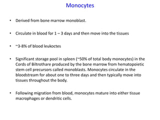 Monocytes

• Derived from bone marrow monoblast.

• Circulate in blood for 1 – 3 days and then move into the tissues

• ~3-8% of blood leukoctes

• Significant storage pool in spleen (~50% of total body monocytes) in the
  Cords of Biltrothare produced by the bone marrow from hematopoietic
  stem cell precursors called monoblasts. Monocytes circulate in the
  bloodstream for about one to three days and then typically move into
  tissues throughout the body.

• Following migration from blood, monocytes mature into either tissue
  macrophages or dendritic cells.
 