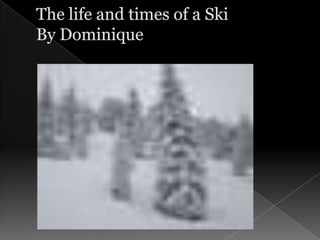 The life and times of a SkiBy Dominique 