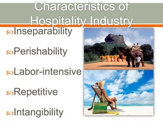 Tourism & Hospitality Management | PPTX