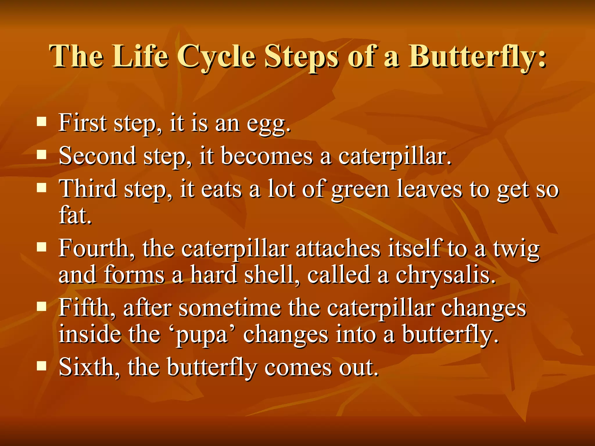 The Life Cycle Steps of a Butterfly: First step, it is an egg. Second step, it becomes a caterpillar. Third step, it eats a lot of green leaves to get so fat. Fourth, the caterpillar attaches itself to a twig and forms a hard shell, called a chrysalis. Fifth, after sometime the caterpillar changes inside the ‘pupa’ changes into a butterfly. Sixth, the butterfly comes out.