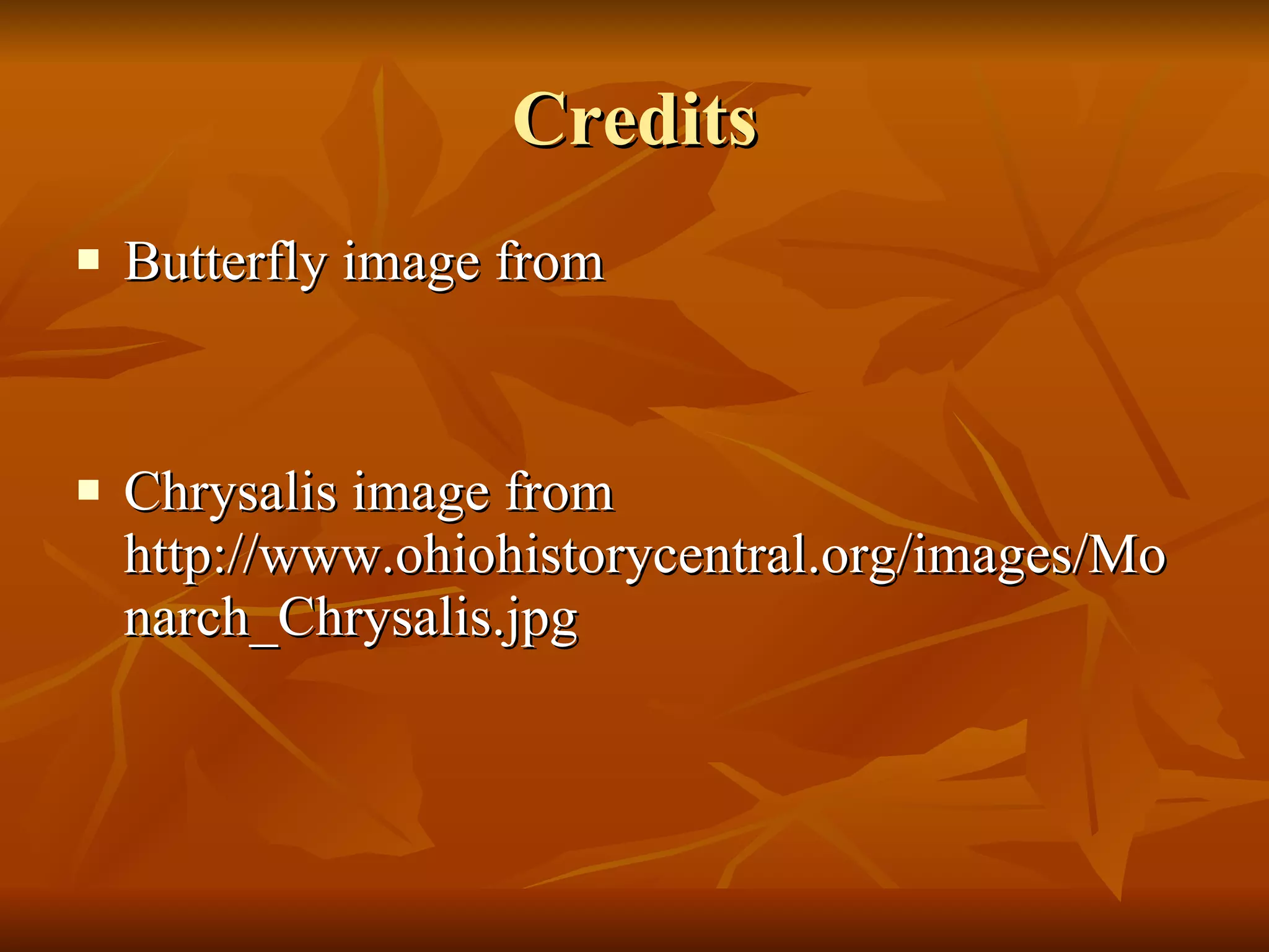 Credits Butterfly image from Chrysalis image from http://www.ohiohistorycentral.org/images/Monarch_Chrysalis.jpg