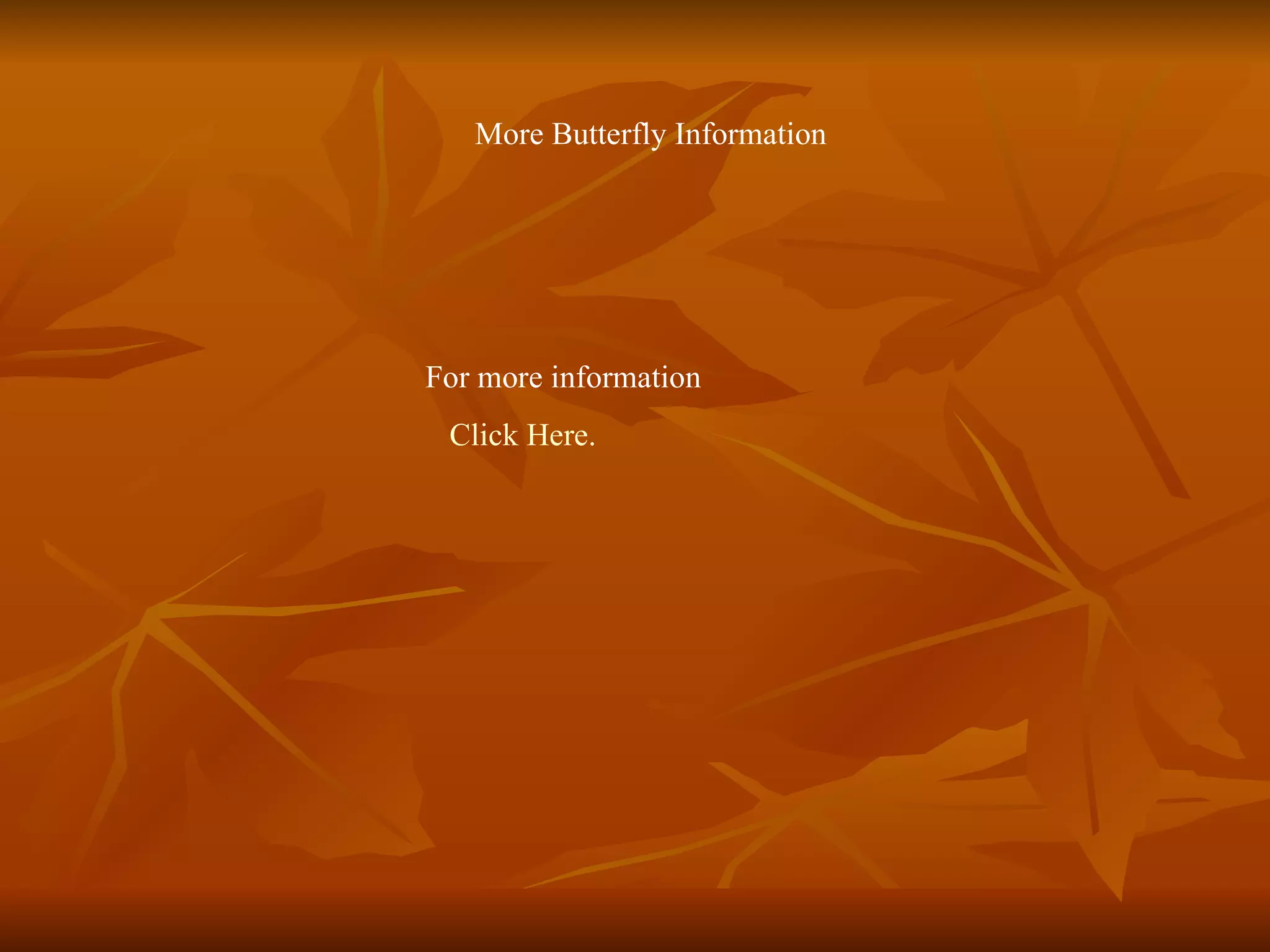 For more information Click Here. More Butterfly Information