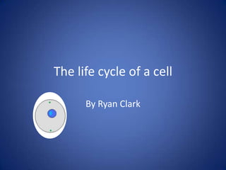 The life cycle of a cell  By Ryan Clark  