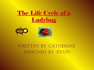 The Life Cycle of a Ladybug Written By Catherine  designed by Jiyun 
