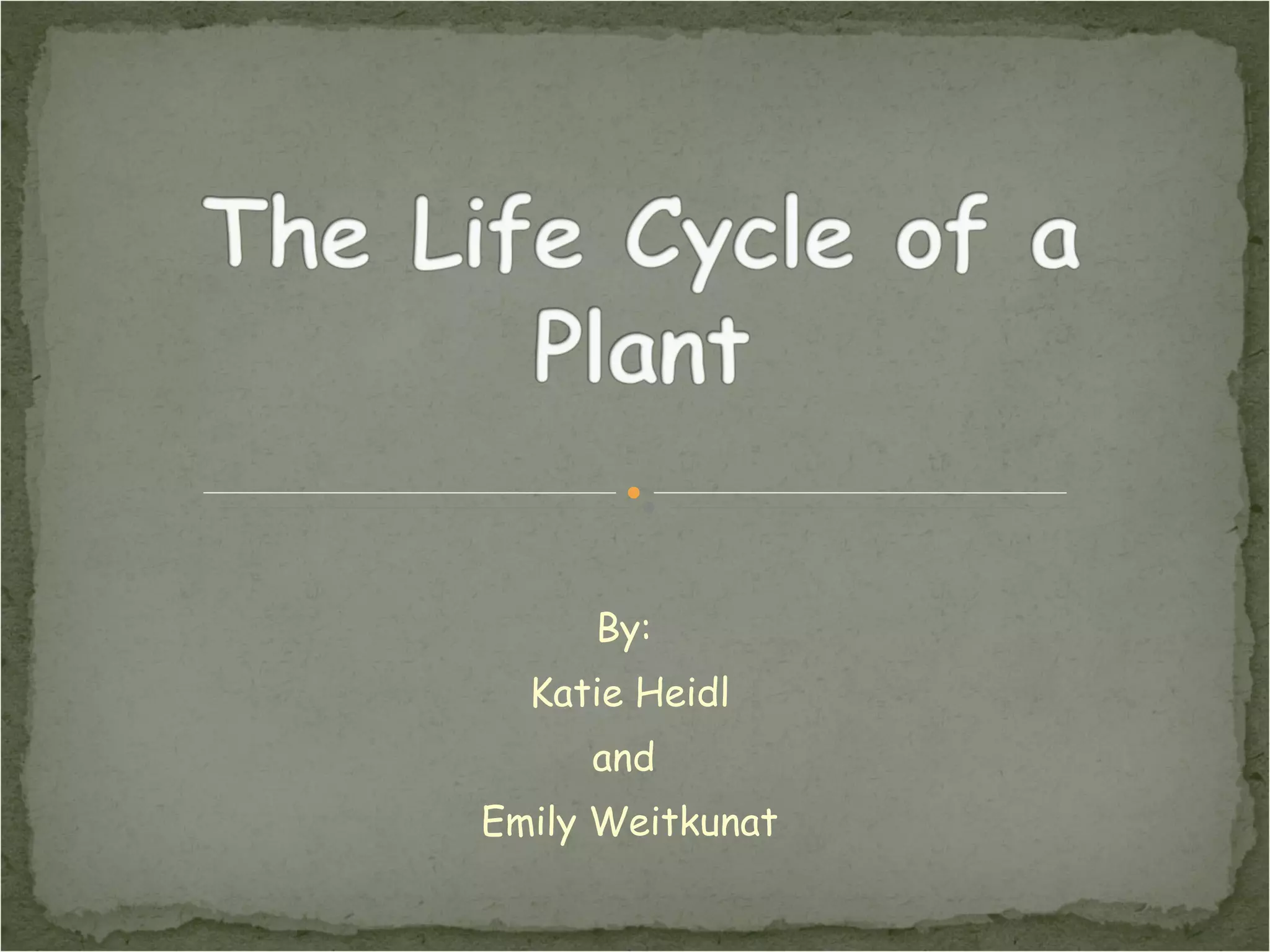 The Life Cycle Of A Plant | PPT
