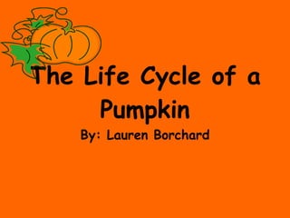 The Life Cycle of a Pumpkin By: Lauren Borchard 