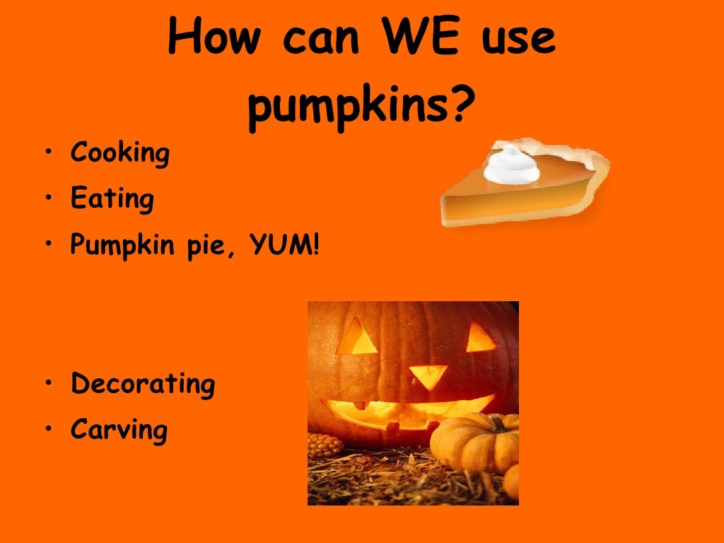 The Life Cycle of a Pumpkin 2