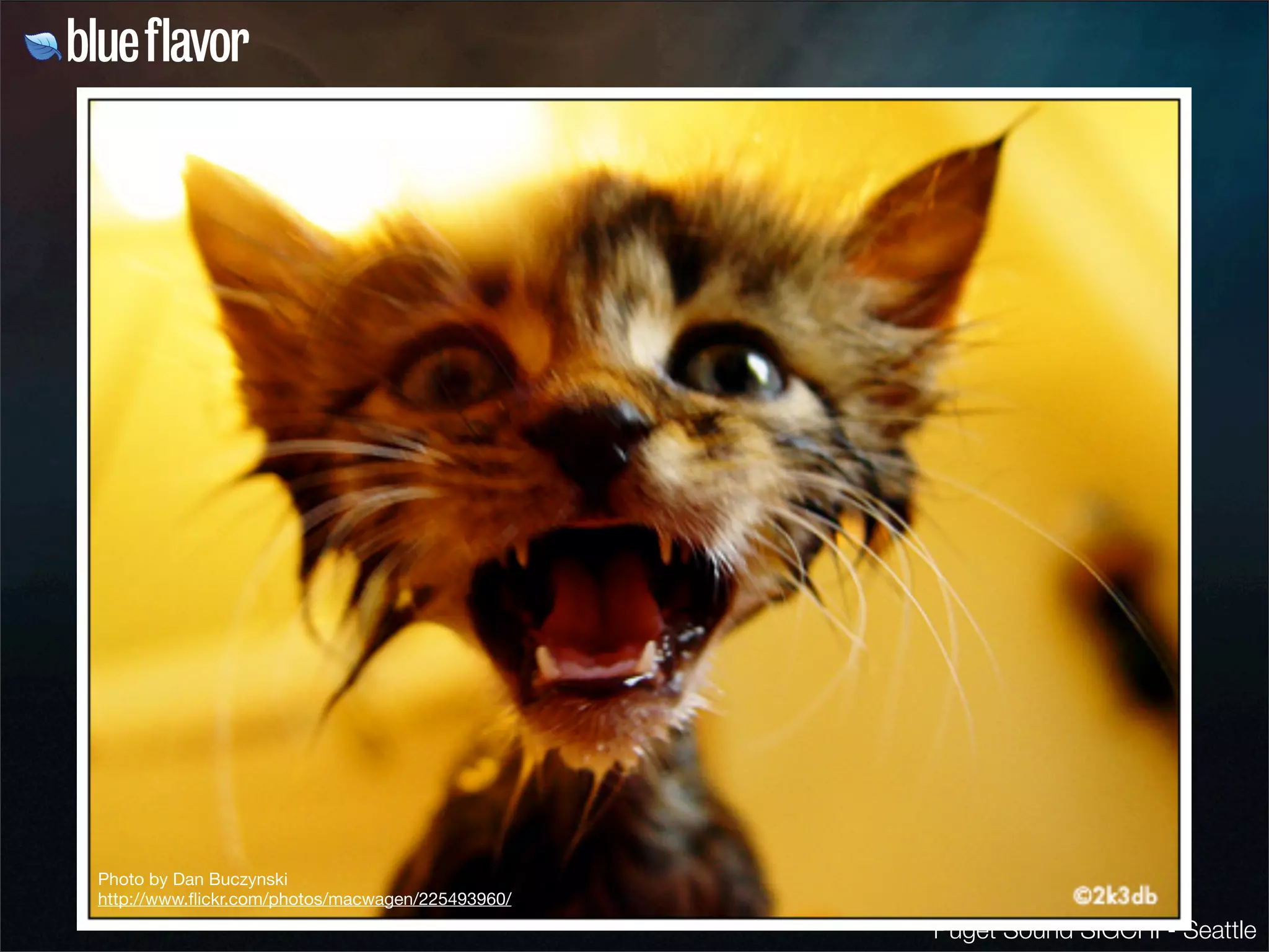 The Life Cycle of a Wireframe 