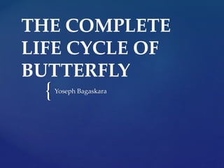 THE COMPLETE 
LIFE CYCLE OF 
BUTTERFLY 
{ 
Yoseph Bagaskara 
 