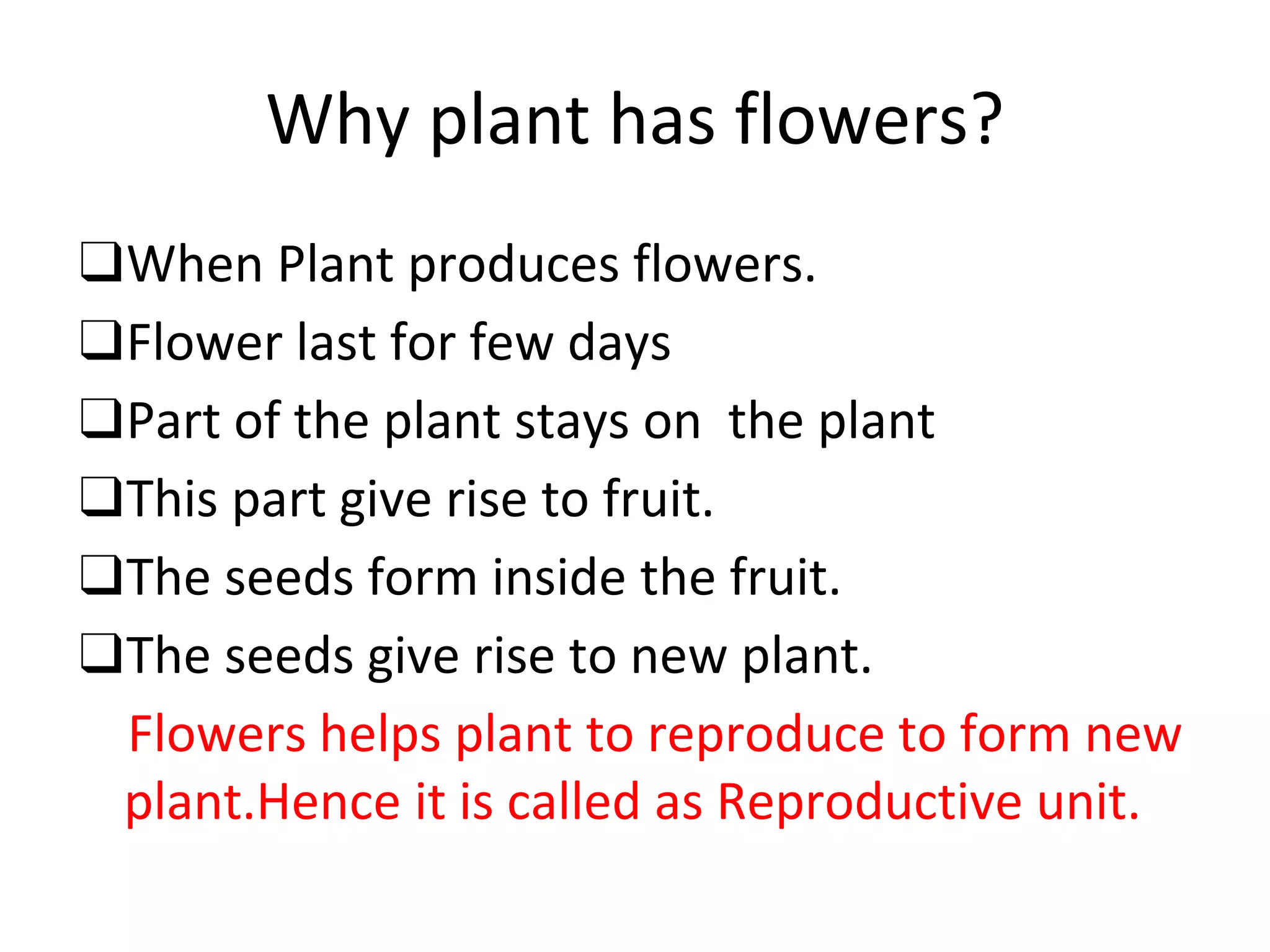The lifecycle of flowering plants. | PPTX