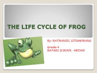 THE LIFE CYCLE OF FROG
By: NATHANIEL SITUMORANG
Grade 4
BATARI SCHOOL- MEDAN

 