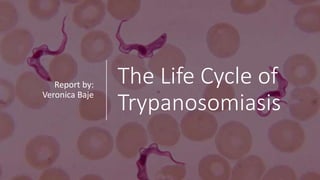 The Life Cycle of
Trypanosomiasis
Report by:
Veronica Baje
 
