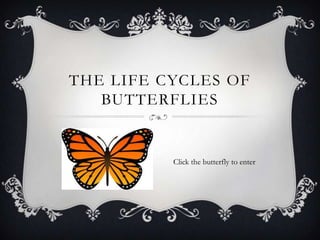 THE LIFE CYCLES OF
BUTTERFLIES

Click the butterfly to enter

 