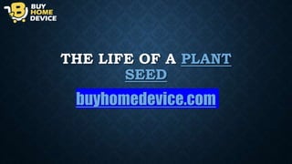 THE LIFE OF A PLANT
SEED
buyhomedevice.com
 