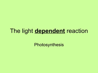 The light dependent reaction

        Photosynthesis
 