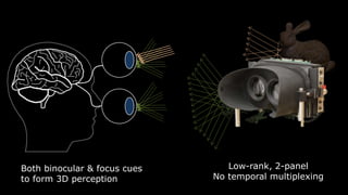 Low-rank, 2-panel
No temporal multiplexing
 