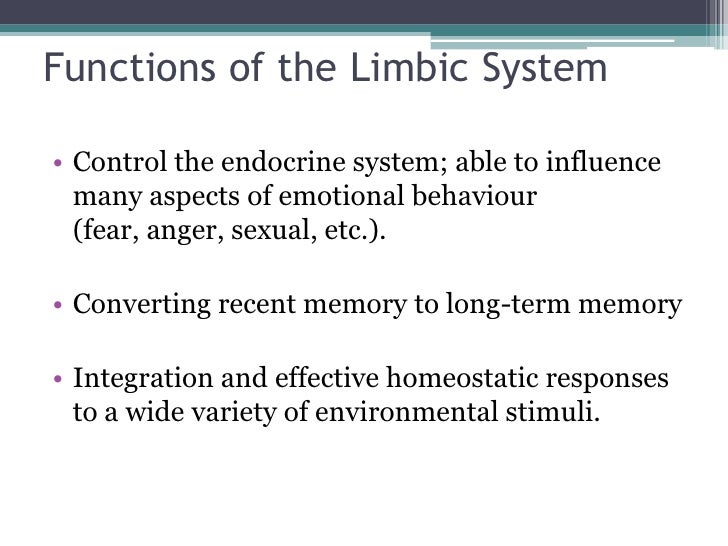 The limbic system