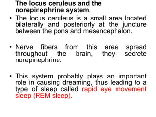 The locus ceruleus and the
norepinephrine system.
• The locus ceruleus is a small area located
bilaterally and posteriorly at the juncture
between the pons and mesencephalon.
• Nerve fibers from this area spread
throughout the brain, they secrete
norepinephrine.
• This system probably plays an important
role in causing dreaming, thus leading to a
type of sleep called rapid eye movement
sleep (REM sleep).
 