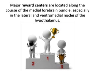 Major reward centers are located along the
course of the medial forebrain bundle, especially
in the lateral and ventromedial nuclei of the
hypothalamus.
 