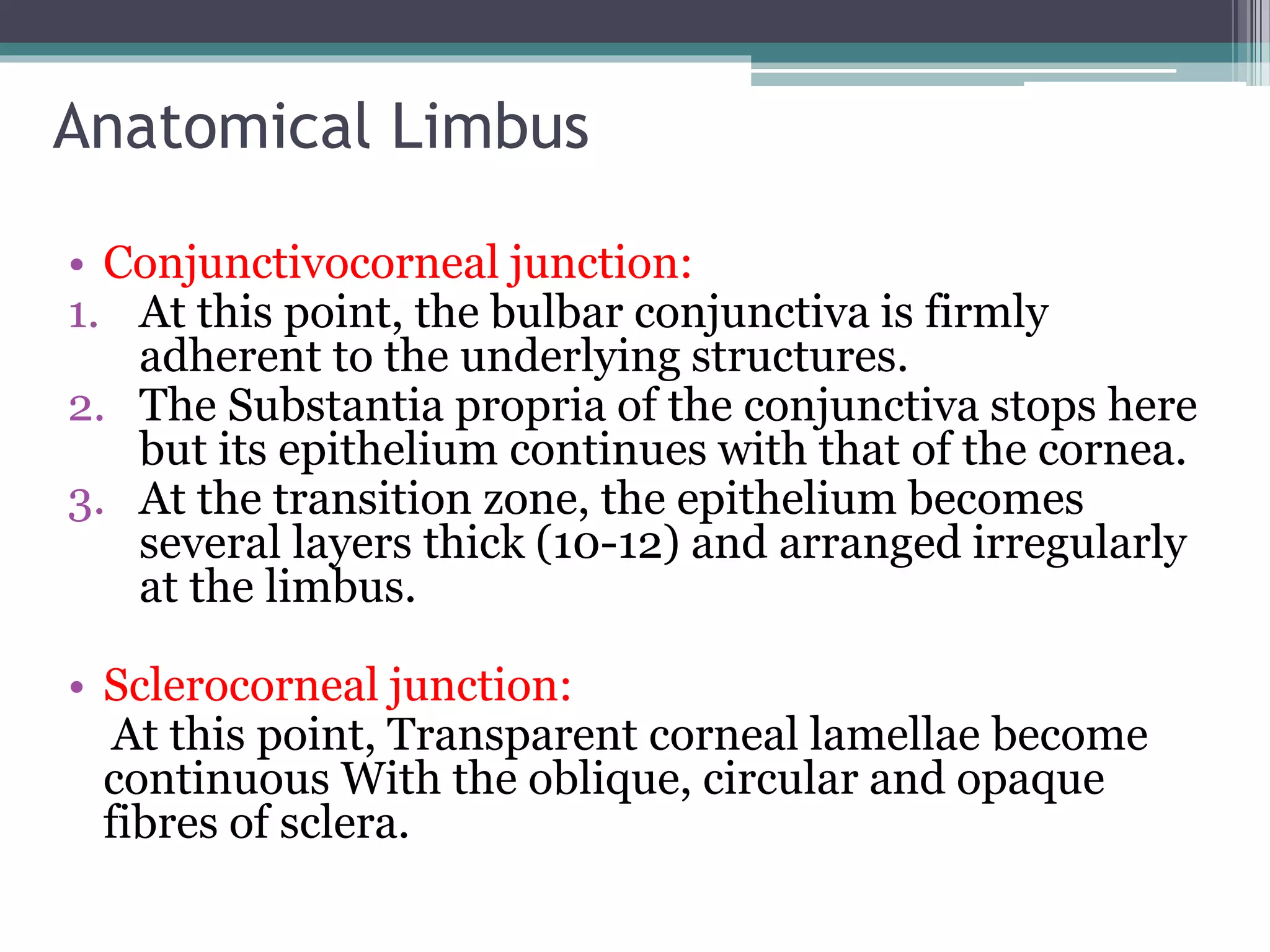 Anatomical Limbus
• Conjunctivocorneal junction:
1. At this point, the bulbar conjunctiva is firmly
adherent to the underlying structures.
2. The Substantia propria of the conjunctiva stops here
but its epithelium continues with that of the cornea.
3. At the transition zone, the epithelium becomes
several layers thick (10-12) and arranged irregularly
at the limbus.
• Sclerocorneal junction:
At this point, Transparent corneal lamellae become
continuous With the oblique, circular and opaque
fibres of sclera.
 