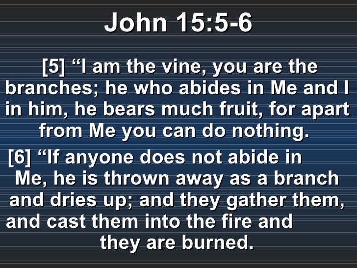 John 15 5 6 John 15 5 6