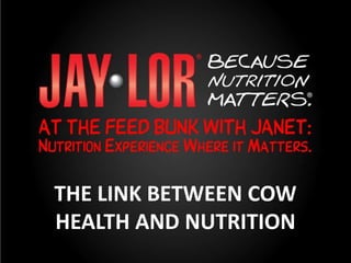 THE LINK BETWEEN COW
HEALTH AND NUTRITION
 