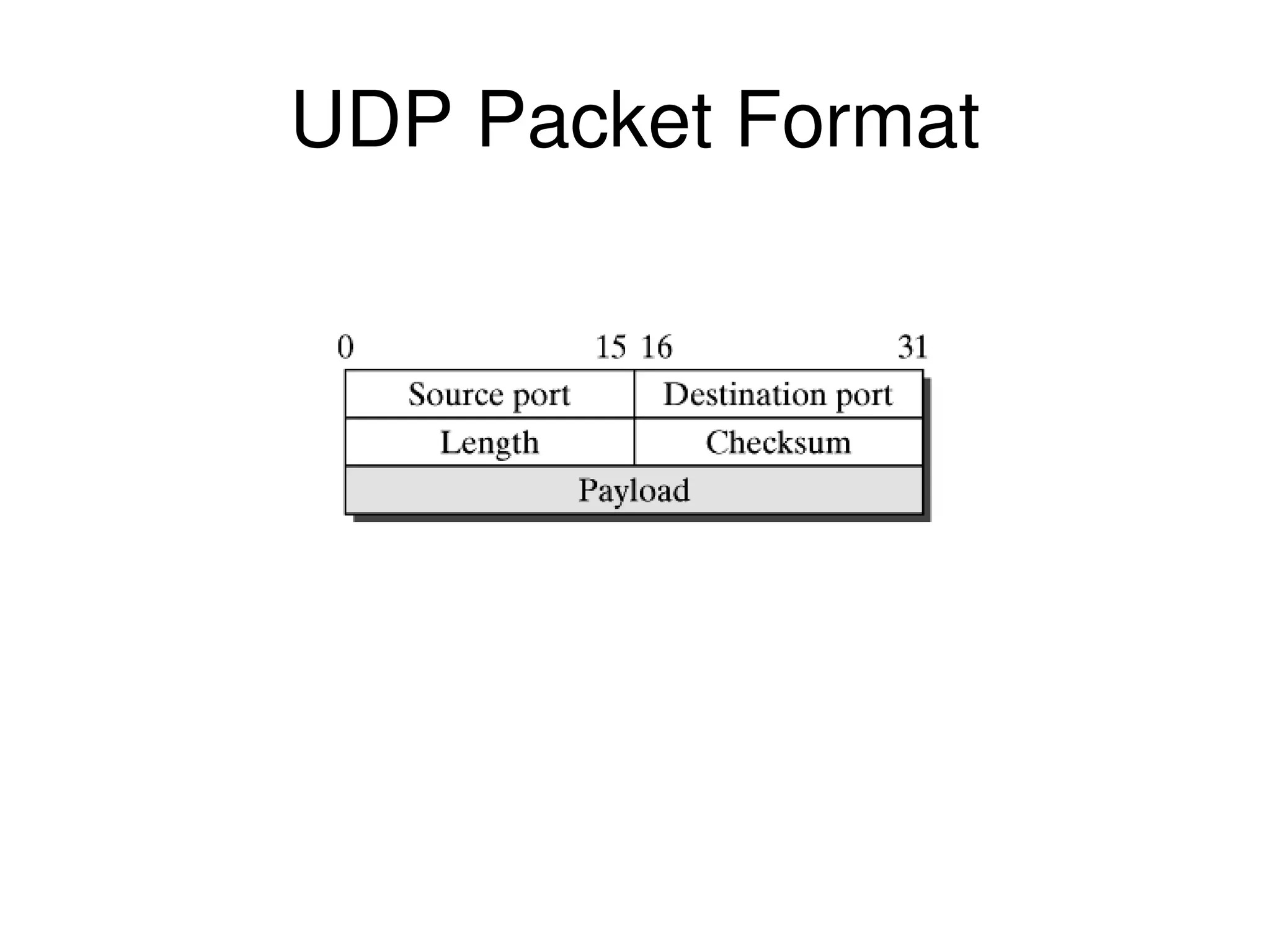 UDP Packet Format 