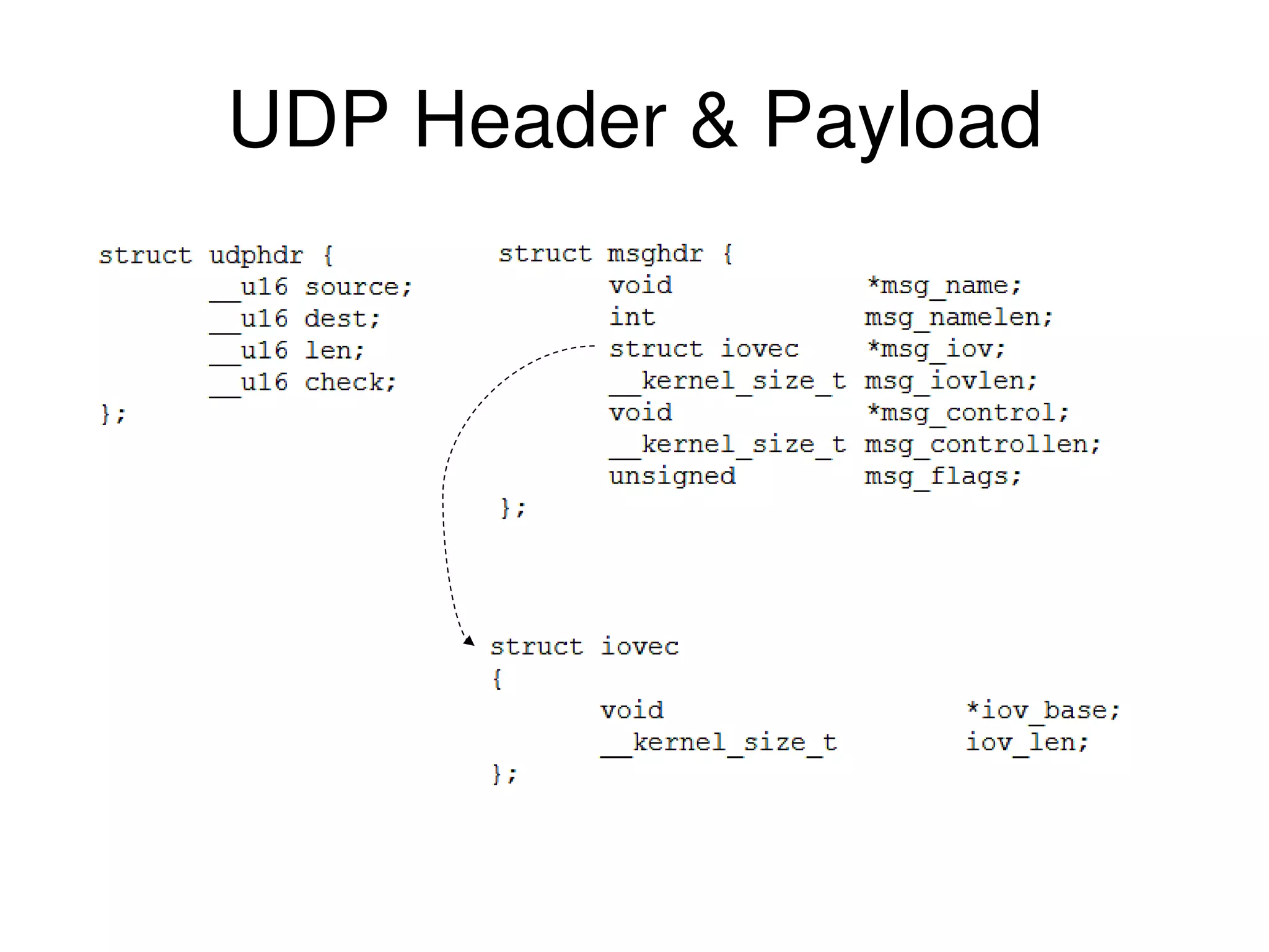UDP Header & Payload 