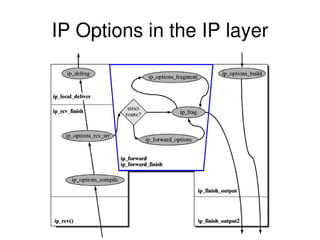 IP Options in the IP layer
 