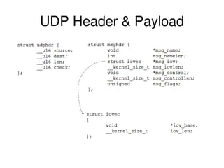 UDP Header & Payload
 