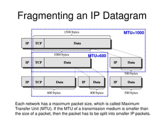 IP Options in the IP layer
 