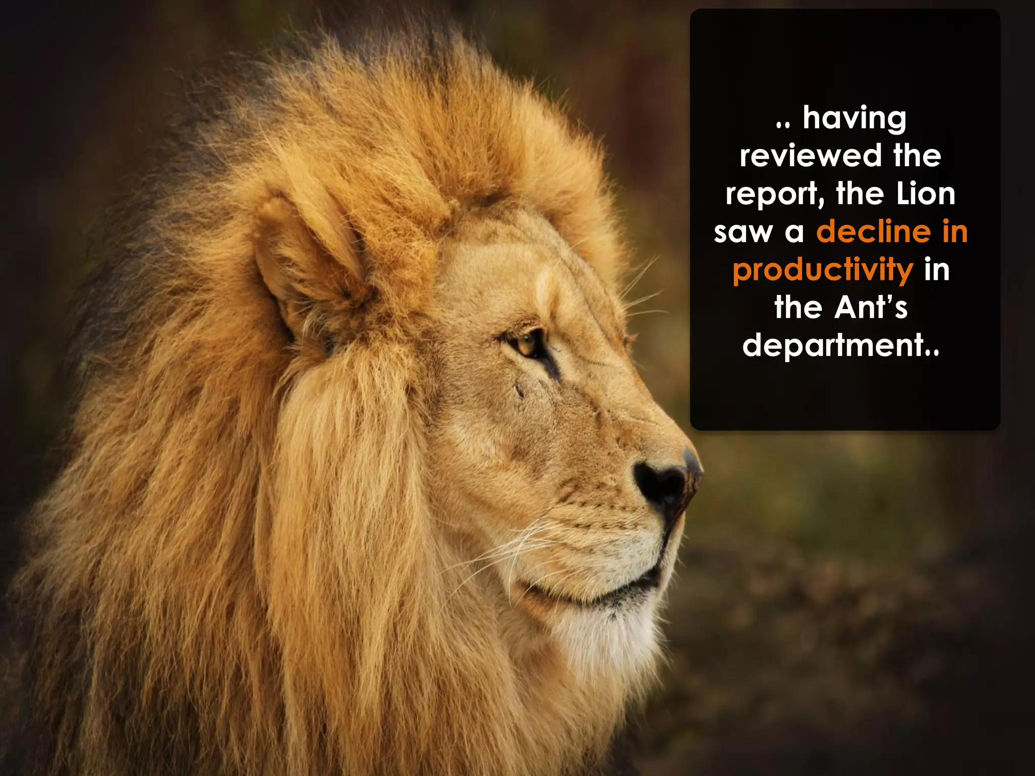 .. having
reviewed the
report, the Lion
saw a decline in
productivity in
the Ant’s
department..
 