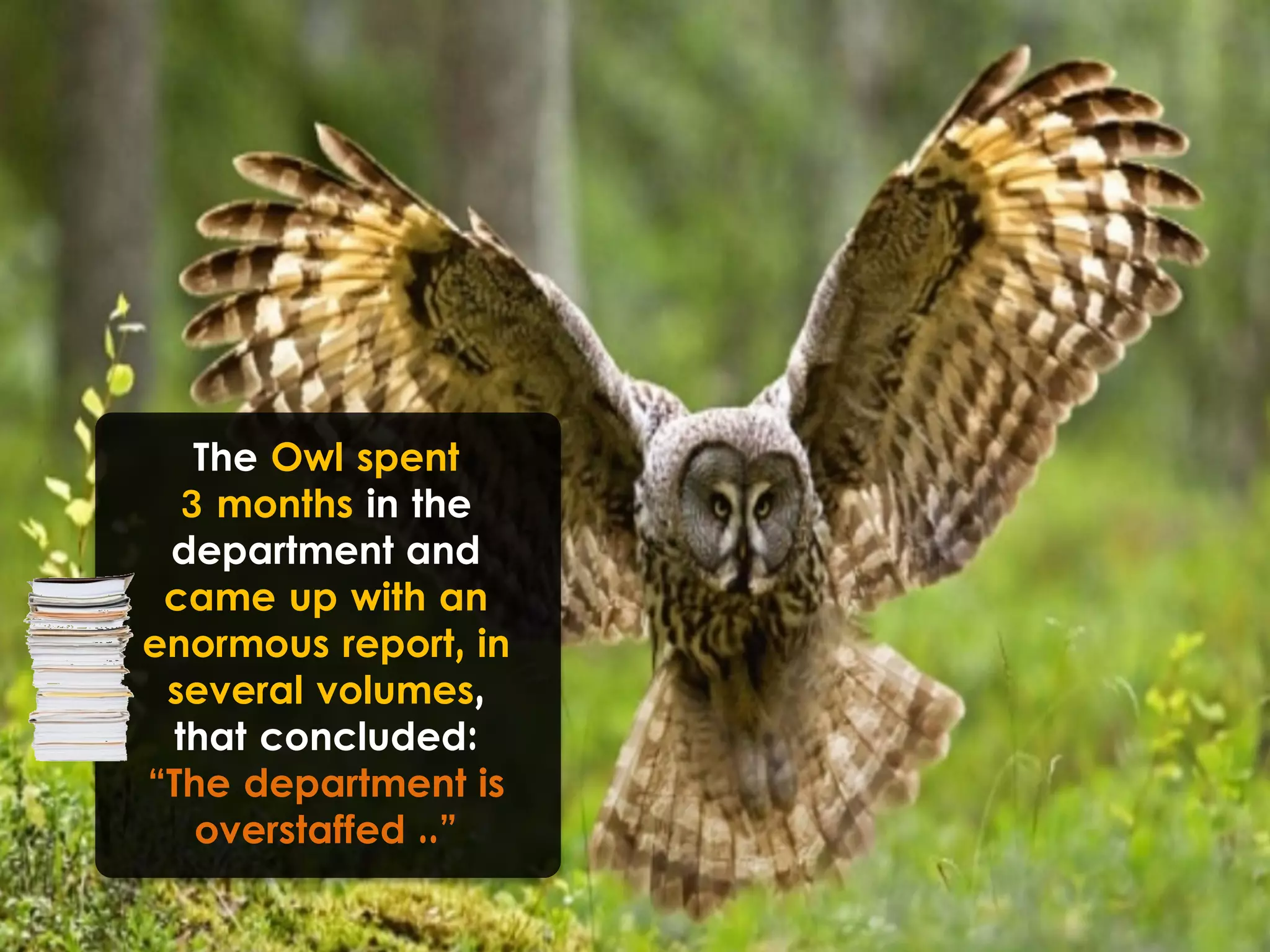 The Owl spent
3 months in the
department and
came up with an
enormous report, in
several volumes,
that concluded:
“The department is
overstaffed ..”
 