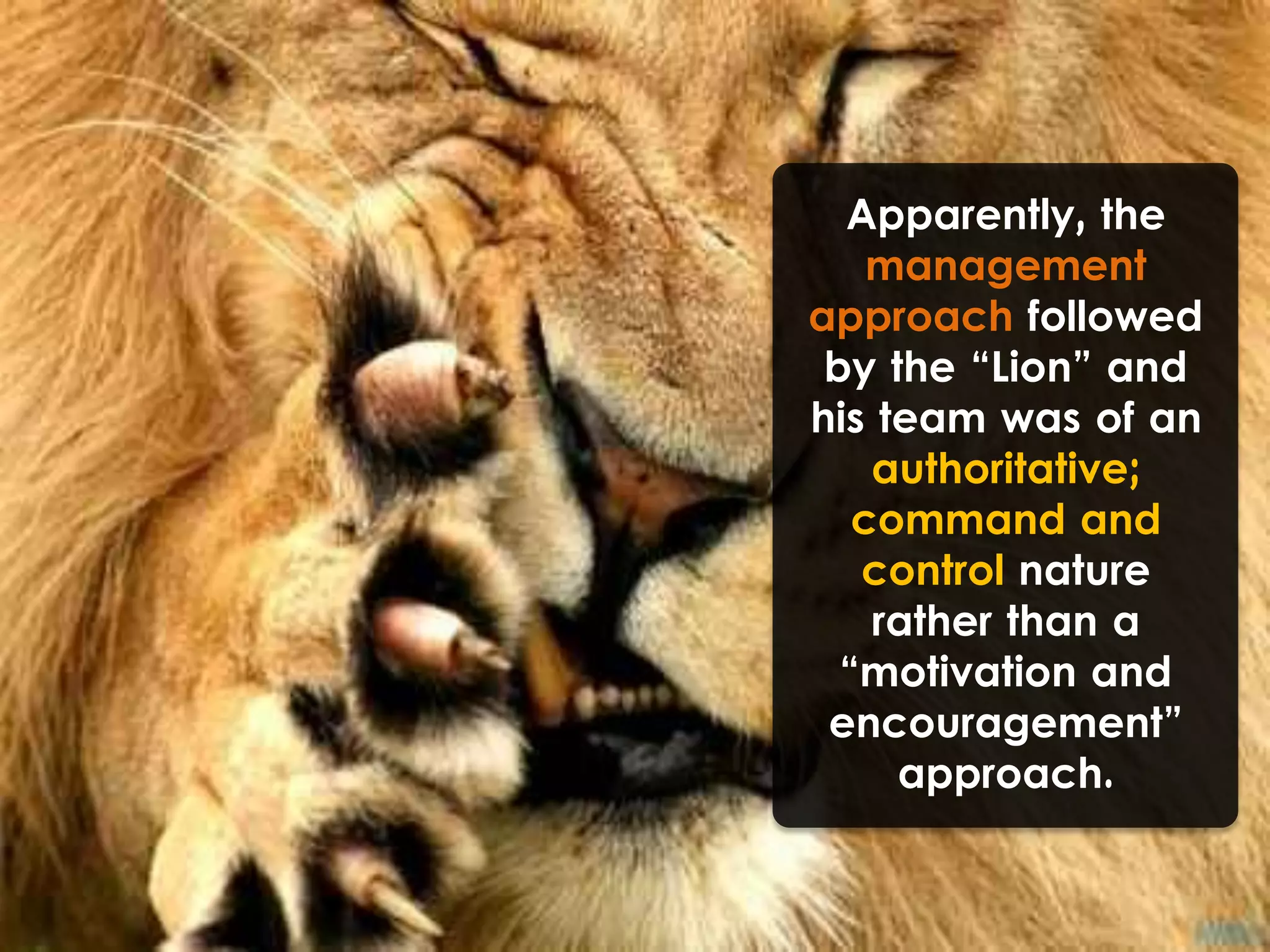 Apparently, the
management
approach followed
by the “Lion” and
his team was of an
authoritative;
command and
control nature
rather than a
“motivation and
encouragement”
approach.
 