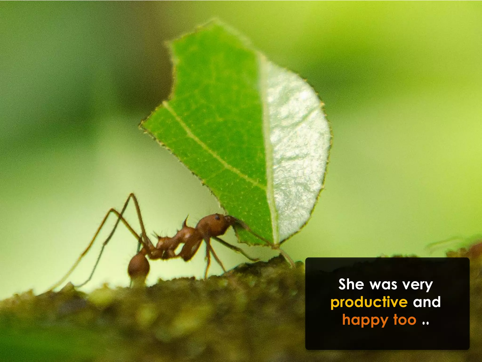 She was very
productive and
happy too ..
 