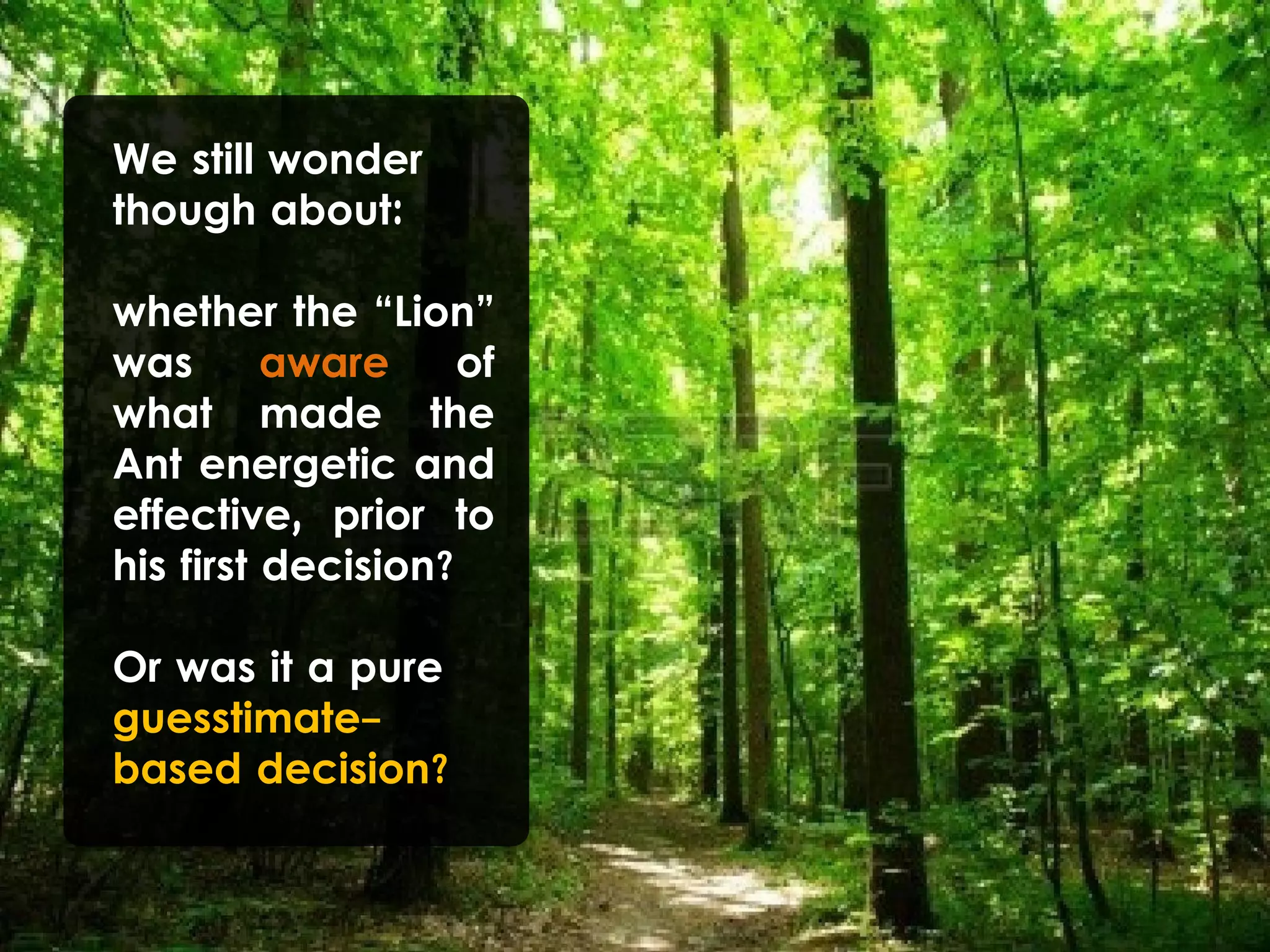 We still wonder
though about:
whether the “Lion”
was aware of
what made the
Ant energetic and
effective, prior to
his first decision?
Or was it a pure
guesstimate-
based decision?
 