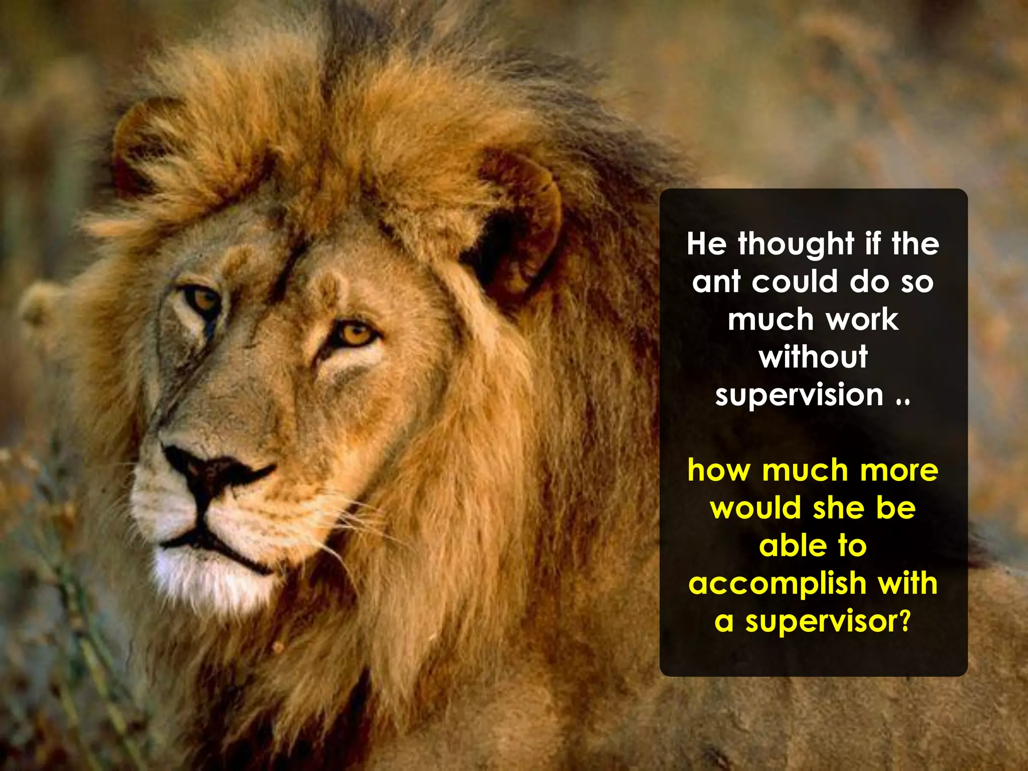 He thought if the
ant could do so
much work
without
supervision ..
how much more
would she be
able to
accomplish with
a supervisor?
 