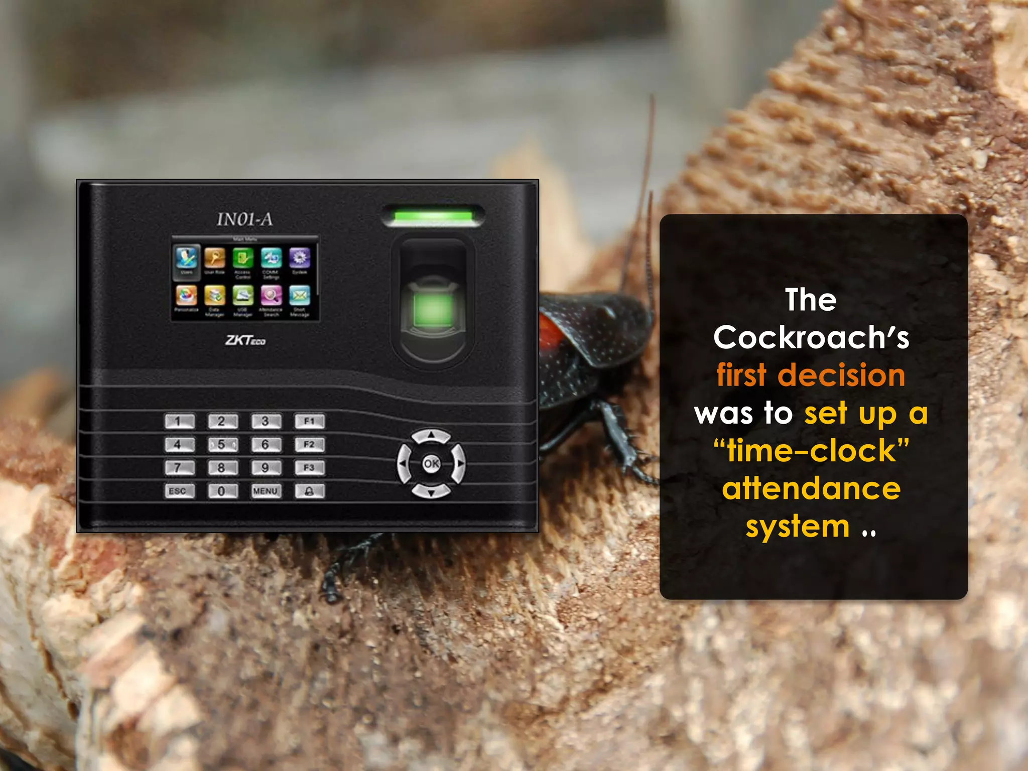 The
Cockroach's
first decision
was to set up a
“time-clock”
attendance
system ..
 